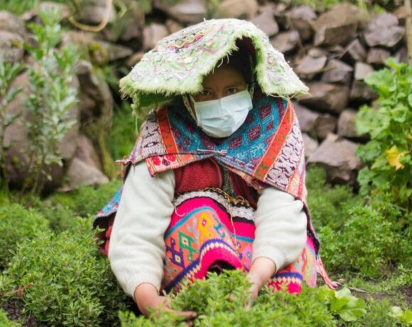 Pérou 2 : Une serre communautaire